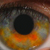 :iconshort-recoil: