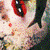 :iconshortass205: