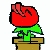 :iconshortcam: