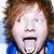 :iconshorthorn07: