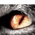 :iconshortstack28: