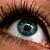 :iconshorty90: