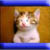 :iconshortychic09: