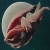 :iconshosetsu: