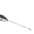 :iconshot8plz: