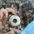 :iconshotgraphy: