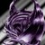 :iconshotgun-r12: