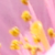 :iconshotgunopera: