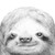 :iconshoulder-surfer: