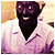 :iconshoutitshoutit: