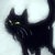 :iconshoutofthenight: