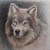 :iconshowers-cat: