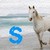 :iconshowjumper330: