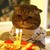 :iconshowmeareason: