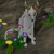 :iconshoxthewolf: