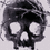 :iconshpandicoon: