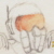 :iconshrikefox: