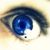 :iconshrnoogal: