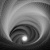 :iconshroom-studios: