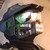:iconshrubbytreebush: