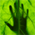 :iconshrubery: