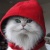 :iconshu-shuu: