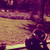 :iconshufro: