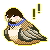 :iconshuitamai: