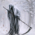 :iconshujinko-izanagi: