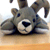 :iconshull: