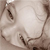 :iconshuls: