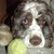 :iconshurtugal-raevyn:
