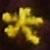 :iconshut-me-out: