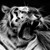 :iconshutter-kid: