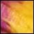 :iconshutterbee:
