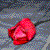 :iconshutterbug101992: