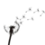 :iconshutterbuglio: