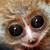 :iconshutterbugsandi: