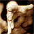 :iconshutterfaery: