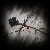 :iconshutterflame: