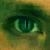 :iconshutterpages: