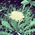 :iconshutuploud: