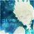 :iconshuyin-strife: