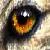 :iconshy-cry-wolfie: