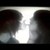 :iconshykitten98: