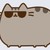 :iconshymodo: