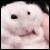 :iconshyromance: