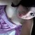 :iconshywolffae: