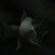 :iconSiaArt: