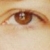 SiamRose :iconsiamrose: